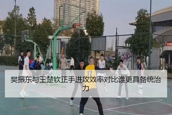 樊振东与王楚钦正手进攻效率对比谁更具备统治力